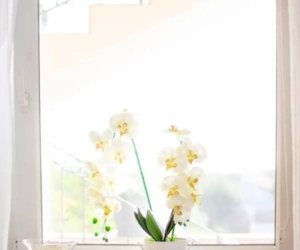 Apartment App Roko 2 *