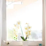 דירה App Roko 2 *