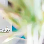 App Roko 2 דירה פורץ