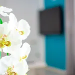 דירה App Roko 2 *