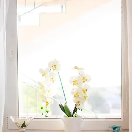 Appartement App Roko 2 *