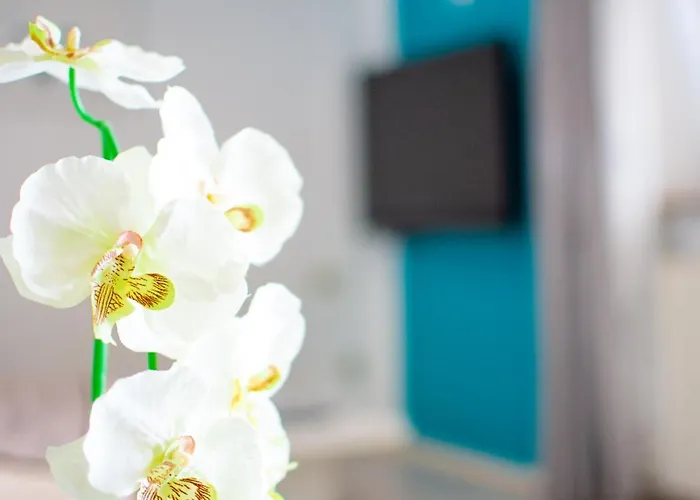 Apartamento App Roko 2 *