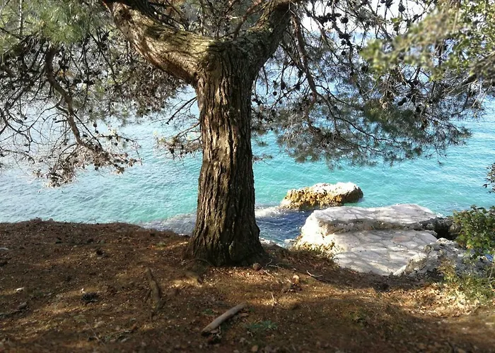 Apartamento App Roko 2